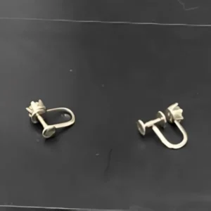 pt900　ピアス